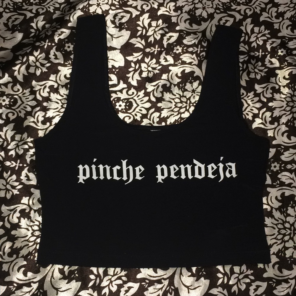 PINCHE PENDEJA FAMILIA METICHE ALANIZED MERCH